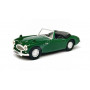 AUSTIN HEALEY VERTE