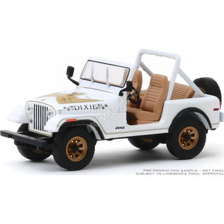 JEEP CJ-7 1979 "GOLDEN EAGLE DIXIE"