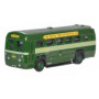 AEC RF GREENLINE MODERN