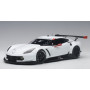 CHEVROLET CORVETTE C7.R PLAIN BODY VERSION BLANCHE/ROUGE