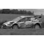 FORD FIESTA WRC 44 GREENSMITH/EDMONDSON RALLYE ESTONIE 2020
