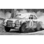 FORD ESCORT MKI RS 1600 4 MIKKOLA/DAVENPORT RALLYE SAFARI 1973