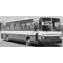 IKARUS 250.59 VERT/BLANC