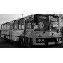 IKARUS 260 POSTDAM GRIS