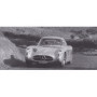 MERCEDES-BENZ 300 SLR COUPE 1955 T1 WOLFGANG VON TRIPS TOURIST TROPHY 1955