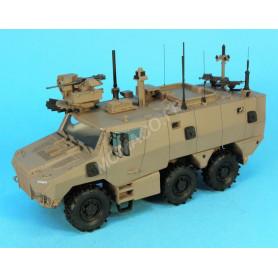 VBMR GRIFFON BRUN TERRE