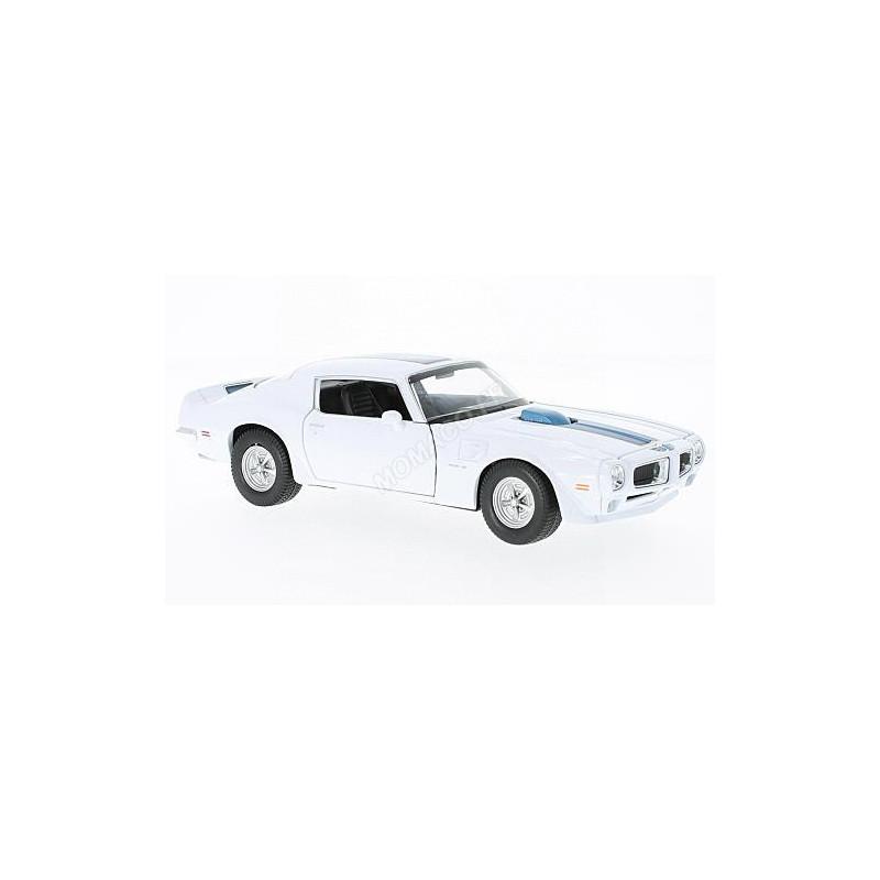1973 Pontiac Trans AM SD-455 | Restore A Muscle Car™ LLC