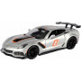 CHEVROLET CORVETTE ZR1 GT 2 RACING 2019 ARGENT