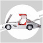 MERCEDES-BENZ 300 SL ARGENT (FULL KIT)