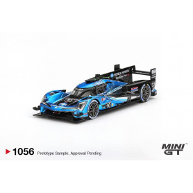 ACURA ARX-06 GTP 10 "WAYNE TAYLOR RACING WITH ANDRETTI" 24H DE DAYTONA 2024 (EPUISE)