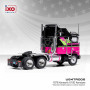 KENWORTH K100 AERODYNE 1976 NOIR AVEC DECORATION ROSE/VERT