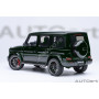 MERCEDES-BENZ AMG G63 2019 VERT