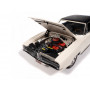 DODGE CHARGER 1969
