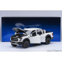 FORD F-150 RAPTOR SUPERCREW 2017 BLANCHE