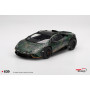 LAMBORGHINI HURACAN STERRATO 2025 CAMOUFLE "ALL-TERRAIN BOSCO"