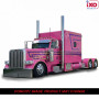 PETERBILT 379 ROSE