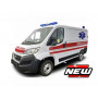 FIAT DUCATO VAN 2015 AMBULANCE