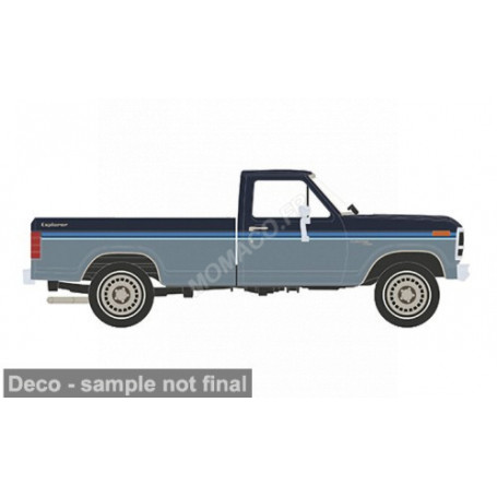 FORD F-150 CUSTOM 1981 BLEU 2 TONS