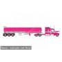 KENWORTH W900 1990 ROSE AVEC CITERNE