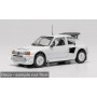 PEUGEOT 205 TURBO 16V EVO 2 1986 BLANC