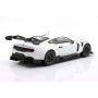 FORD MUSTANG GT3 RACING SPEC PLAIN BODY VERSION 2024 BLANC