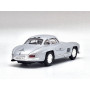 MERCEDES-BENZ 300 SL COUPE PORTES PAPILLON 1954 ARGENT