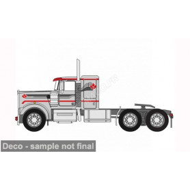 KENWORTH W900 CANADA 25 1976 GRIS