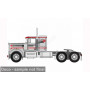 KENWORTH W900 CANADA 25 1976 GRIS