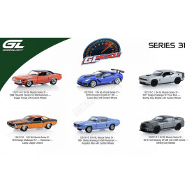 COFFRET DE 6 PIECES : GL MUSCLE - SERIES 31