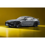 MERCEDES-AMG GT 63 PRO GRIS "SPECIAL EDITION"