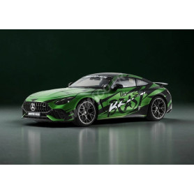 MERCEDES-AMG GT 63 PRO "4MATIC+ THE BEAST"