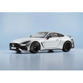 MERCEDES-AMG GT 63 PRO ARGENT
