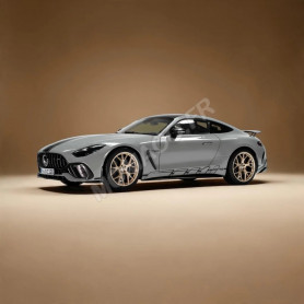 MERCEDES-AMG GT 63 PRO GRIS "SPECIAL EDITION"